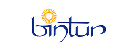 Bintur